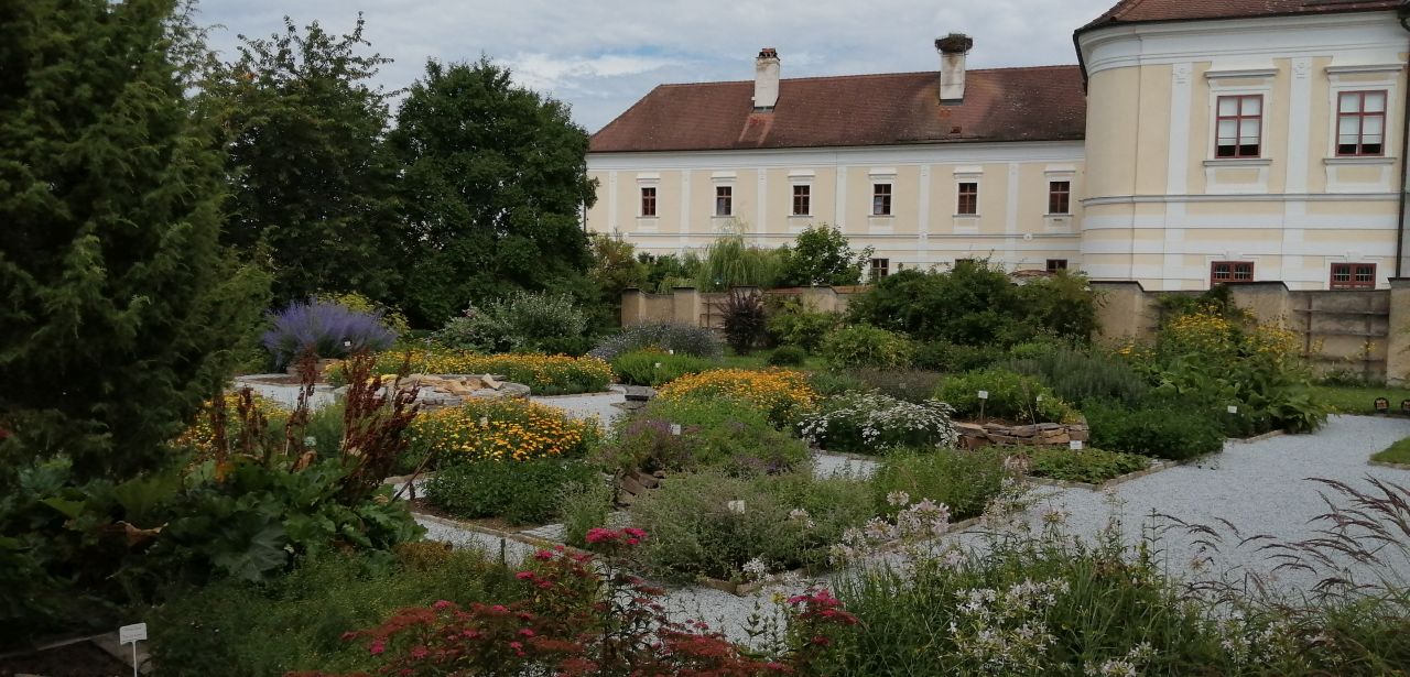 Der Kräutergarten des Stifts Geras